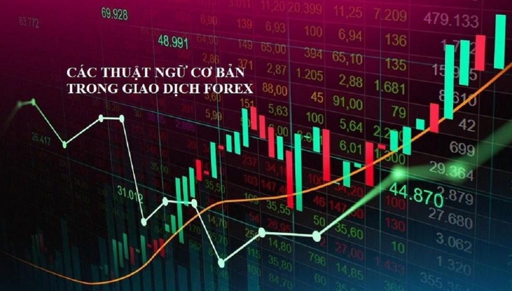 Các Thuật Ngữ Cơ Bản Trong Forex Người Mới Nên Biết