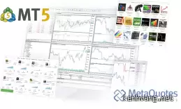 MetaTrader 5 là gì? Hướng dẫn tải MT5